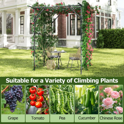 COSTWAY 200 x 150 x 197cm Tall Grape Vine Support Large Garden Arch ...