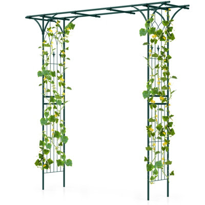 Costway 2m Metal Garden Arbor for Climbing Plants Outdoor Heavy-Duty ...