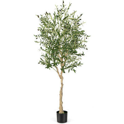 Artificial Olive Tree Plant 120cm (W/O Pot) 