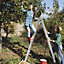 Costway 7-in-1 Folding Aluminum Ladder Multi-Purpose Extension Ladder Anti-Skid Pedal