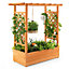 Costway aised Garden Bed Planter Box w/ Side & Top Trellis for Vine Climbing Plants