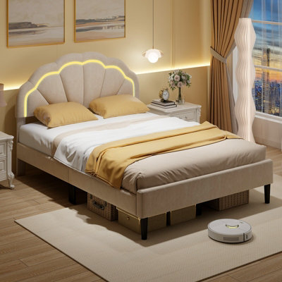 Price of double coat bed best sale