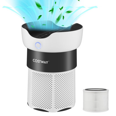 Electric cheap air purifier
