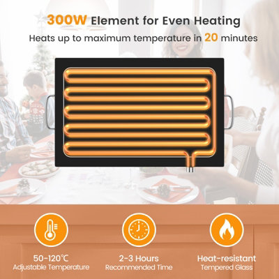 Electric Temperature Adjustable Restaurants MyProducts