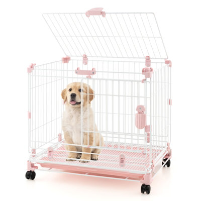 Folding wire dog store crate