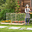 Costway Outdoor Raised Garden Bed Wooden Elevated Planter w/ 2 Planter Boxes & 3 Trellis