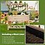 Costway Wooden Raised Garden Bed Elevated Planter w/ Trellis Wheels & Storage Shelves