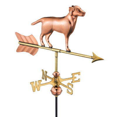 Copper labrador hot sale