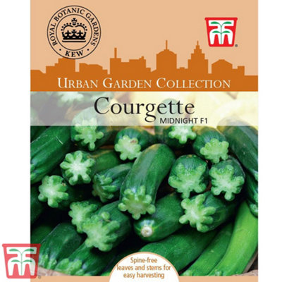 Courgette F1 Midnight 1 Seed Packet (10 Seeds)