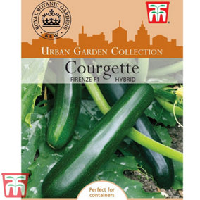 Courgette Firenze F1 Hybrid 1 Seed Packet (6 Seeds)