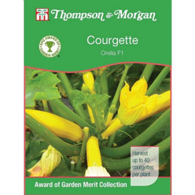 Courgette Orelia F1 1 Seed Packet (6 Seeds)