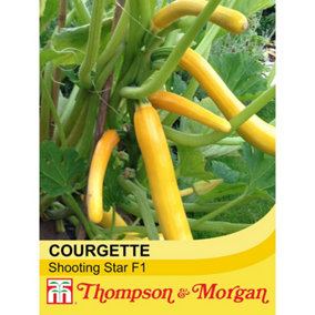 Courgette Shooting Star F1 Hybrid 1 Seed Packet (8 Seeds)