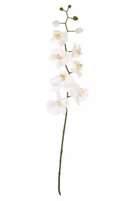 Cream Orchid Stem Artificial Plant Foliage DIY at B&Q