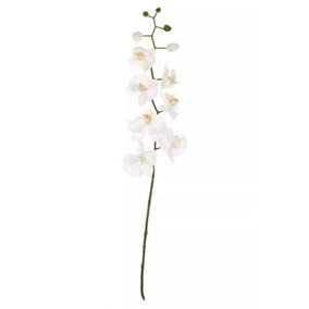 Cream Orchid Stem Artificial Plant Foliage