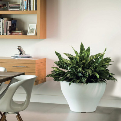 Crescent Garden Juno Round Pot Planter Large Outdoor/Indoor Pot 16-inch in Alpine White