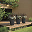 Crescent Garden Pleat Planter, Large Outdoor/Indoor Pot 15-Inch in Olive