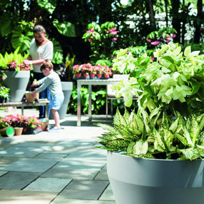 Crescent Garden Self-Watering Rim Planter Large Outdoor/Indoor TruDrop ...