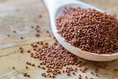 Cress Curled Herb Seeds (Approx. 1000 seeds) by Jamieson Brothers - 9