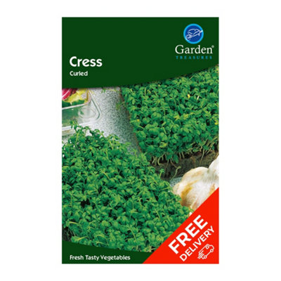 Cress Curled (Lepidum Sativum)