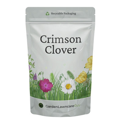Outsidepride Crimson Clover Seeds - 1/4 Lb Nitro-Coated & Inoculated Annual Cover Crop For Lawn, Pasture, Wildlife Food Plot