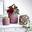 Crochet Texture Effect Ceramic Indoor Plant Pot in Burgundy. Rustic Look (Dia) 14.5 cm