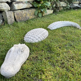 Crocodile Stone Cast Garden Ornament