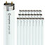 Crompton Lamps Fluorescent 2ft T8 Tube 18W Triphosphor (25 Pack) Daylight F18W/865