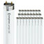Crompton Lamps Fluorescent 6ft T8 Tube 70W Triphosphor (25 Pack) Cool White F70W/840