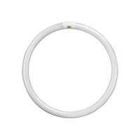 Crompton Lamps Fluorescent T9 Circular 60W 4-Pin Cool White FC60W/840