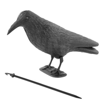 Crow Decoy Full Bodied Realistic Hunting Prop and Bird Scarer DIY at B&Q