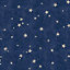 Crown Starlight Stars Wallpaper Navy / Gold M1490