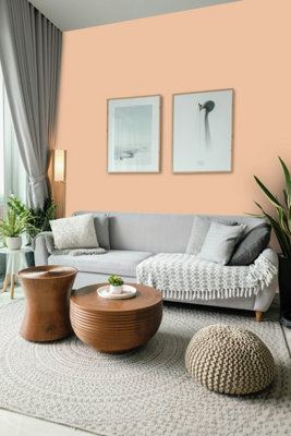 Crown Trade Vinyl Matt Walls & Ceilings Emulsion Paint Pantone 720 C ...