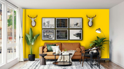 Crown Trade Vinyl Matt Walls & Ceilings Emulsion Paint Pantone Yellow ...