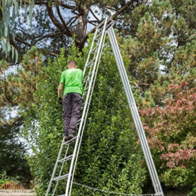 Crown Tripod 1.2m Ladder 1 Leg Adjustable Garden, Hedge, Orchard including Free Rubber Feet