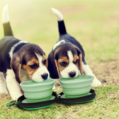 Crufts Double Travel Pop Up Pet Bowl With Case Portable Dog