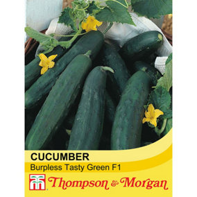 Cucumber Burpless Tasty Green F1 Hybrid 1 Seed Packet (10 Seeds)
