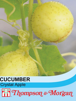 Cucumber Crystal Apple 1 Seed Packet (20 Seeds)