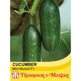 Cucumber Mini Munch F1 Hybrid 1 Seed Packet