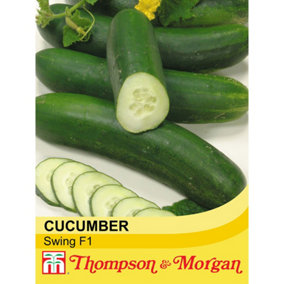 Cucumber Swing F1 Hybrid 1 Seed Packet (4 Seeds)
