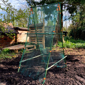 Cucumber Trellis & Pea Support Frame for Heavy Climbing Plants - 0.75m x 0.75m x 1.4m H