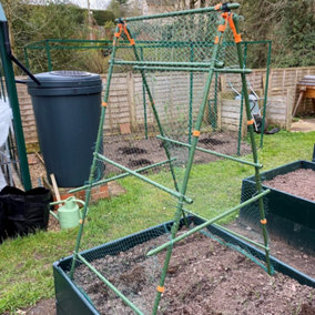 Cucumber Trellis & Pea Support Frame for Heavy Climbing Plants - 1.5m x 0.75m x 1.4m H