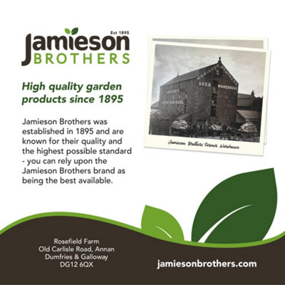 Cumbrian Mix Peat Free Compost Multipurpose 60L  - By Jamieson Brothers - 9