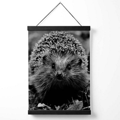 Curious Hedghog Animal Black and White Photo Medium Poster with Black Hanger