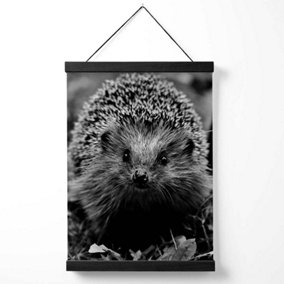 Curious Hedghog Animal Black and White Photo Medium Poster with Black Hanger