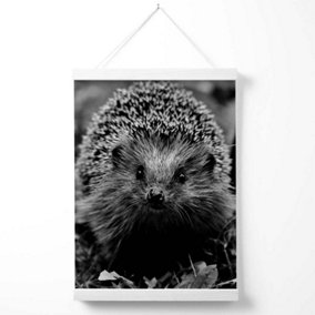 Curious Hedghog Animal Black and White Photo Poster with Hanger / 33cm / White