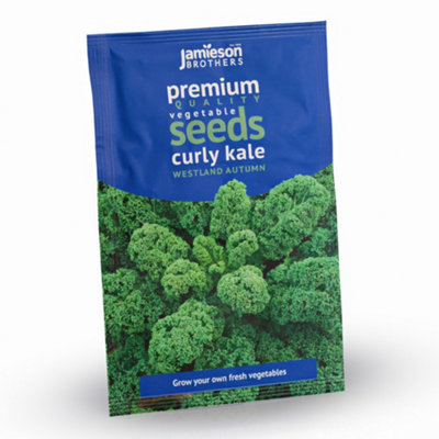 Curly Kale Blue Scotch Vegetable Seeds (Approx. 155 seeds) by Jamieson Brothers