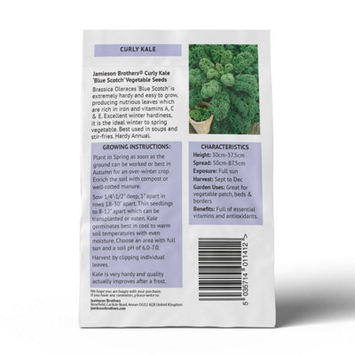 Curly Kale Blue Scotch Vegetable Seeds (Approx. 155 seeds) by Jamieson Brothers - 6