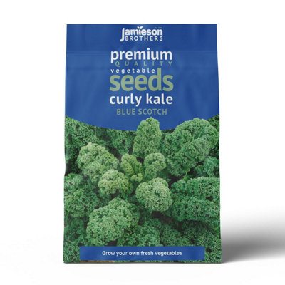 Curly Kale Blue Scotch Vegetable Seeds (Approx. 155 seeds) by Jamieson Brothers - 7