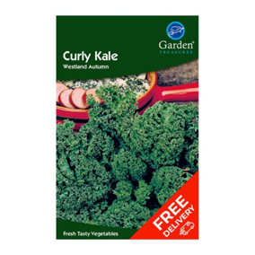 Curly Kale Westland Autumn (Brassica oleraces)