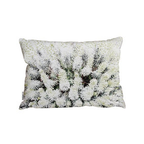 Cushions - Beautifully White (Cushion) / 45cm x 30cm